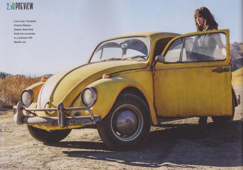 Bumblebee-fusca