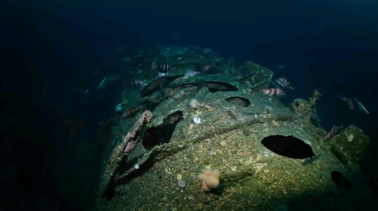 Naufrágios: Mistérios nas Profundezas History2